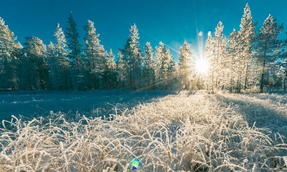 Visste du at det kan være lurt med vitamin D i måneder med «r» i seg?